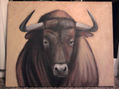 toro