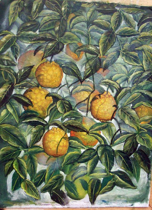 naranjas