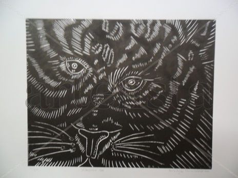 Tigre b&n