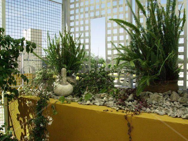 TERRAZA.