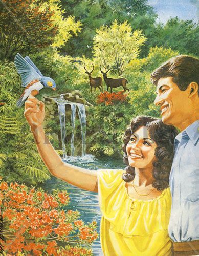 Idea del paradiso