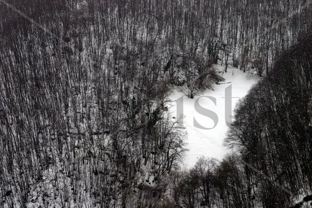 Isla de nieve Naturaleza Blanco y Negro (Digital)