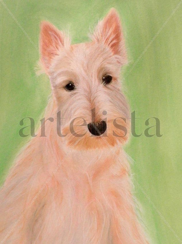 Perro