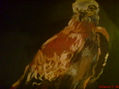 AGUILA
