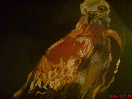 Aguila