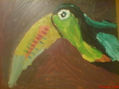 tucan