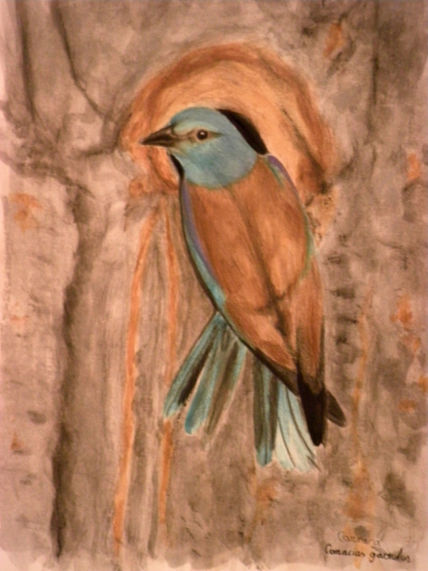 Carraca
