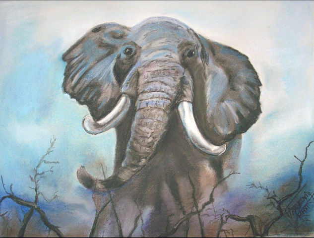 Elefante Pastel Paper Animals