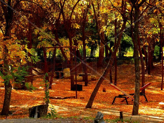 otoño (balneario de Plottier) 