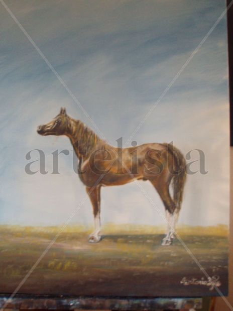 Caballo ganador...