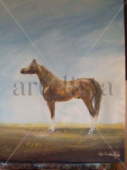 CABALLO GANADOR CONCURSO MORFOLÒGICO.FERIA DEL CABALLO-JEREZ DE LA FRONTERA-ESPAÑA- Oil Canvas Animals