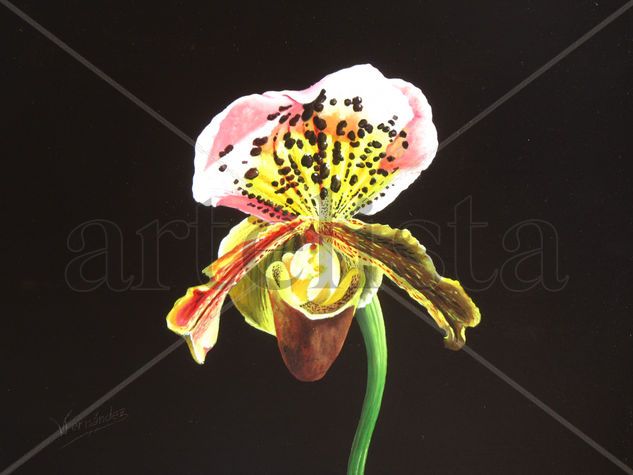 14-ORQUÍDEA Oil Panel Floral Painting