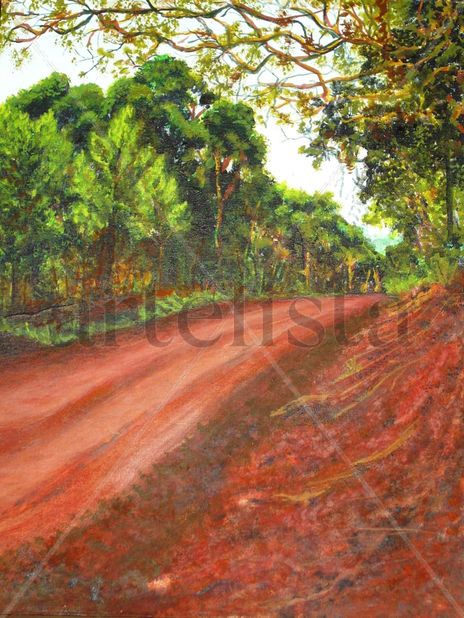Camino a Garuhapé