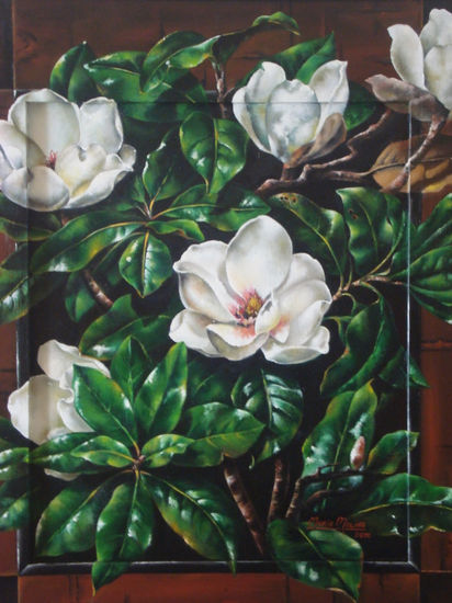 Magnolias 