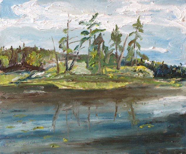 The small Island at Barbue Lake, Frontenac National Park, Quebec, Canada Oil Panel Landscaping