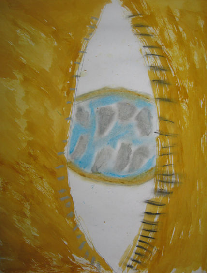 El ojo del reflejo
