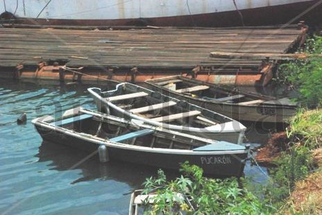 Botes en la costanera