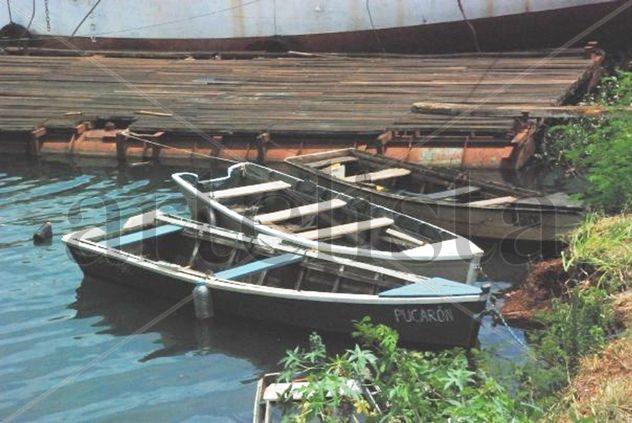 Botes en la costanera