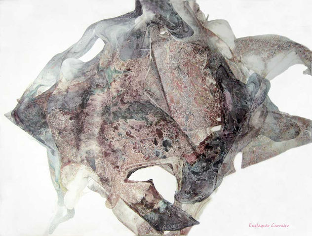 Animal marino Tewex-Nust