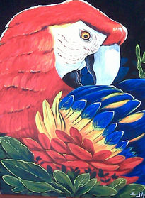 Guacamaya