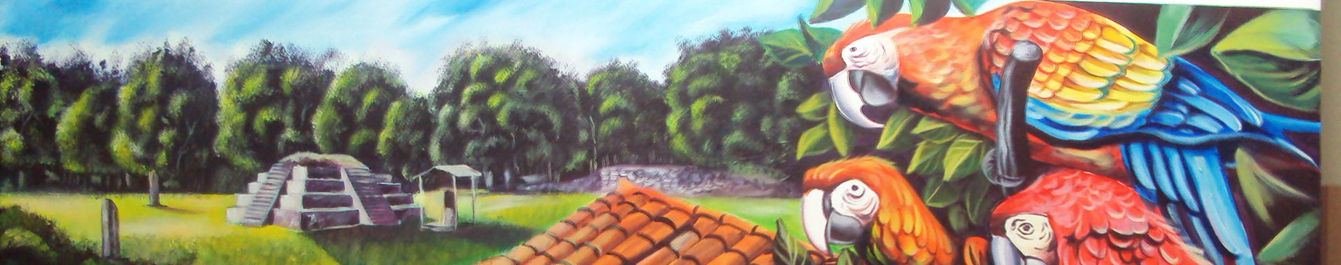 Imagen de portada