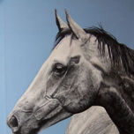 caballos thumbnail 2