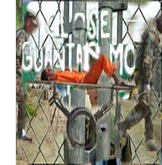 http://www.cageprisoners.com/guantánamo 