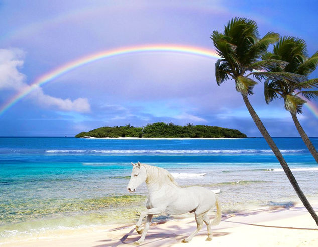 CABALLO Y ARCOIRIS EN LA PLAYITA. 