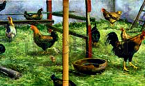 ANIMALES