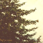 PAISAJE thumbnail 1