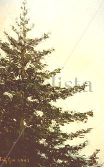 0174-06-0032-estudio