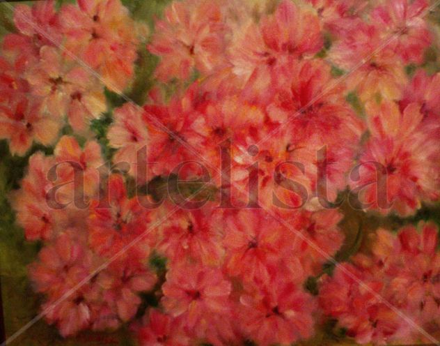Rododendro