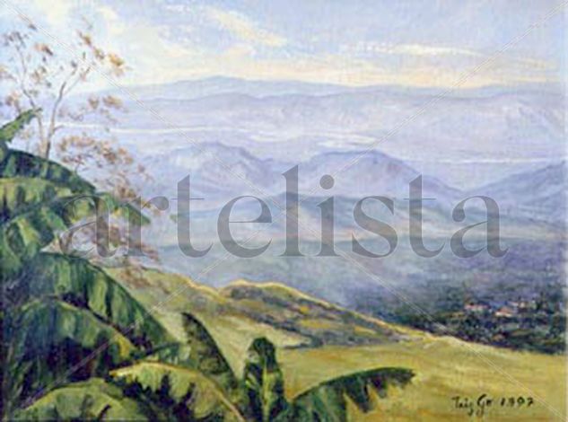 0356-07-0131-ALTO DEL TRIGO, APUNTE Oil Canvas Landscaping