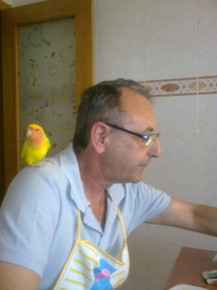 Animales de compañia