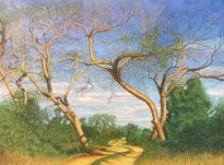 Árboles