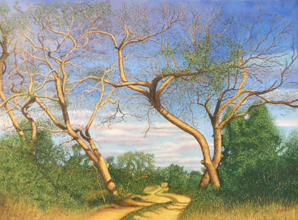 Árboles