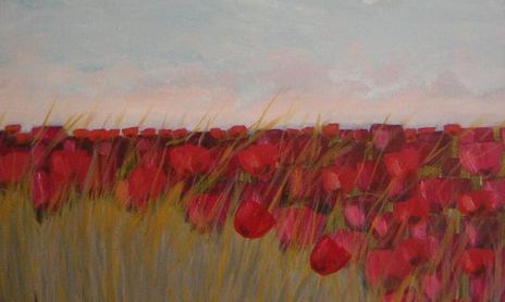 amapolas