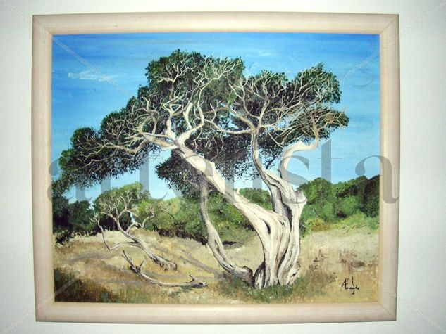 LA MARISMA Oil Canvas Landscaping