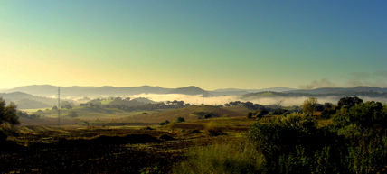 Niebla en otoño