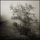 Paisaje BW thumbnail 1