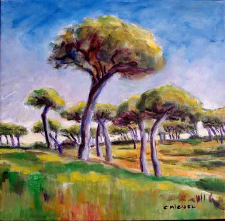 Pinares doñana