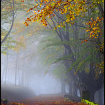 Paisaje Color thumbnail 2