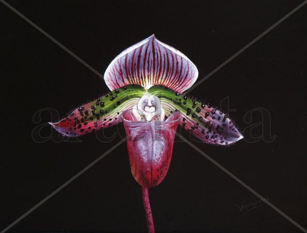 18-ORQUÍDEA Oil Panel Floral Painting