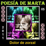 POESÍAS DEL 2011 de Marta Ricardi thumbnail 1