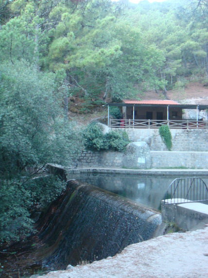 La nieta