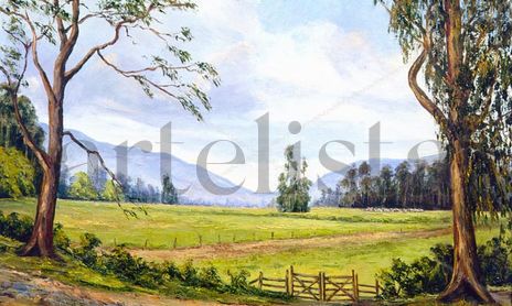 PAISAJE