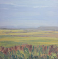 Bardenas