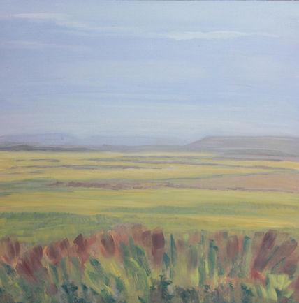 Bardenas