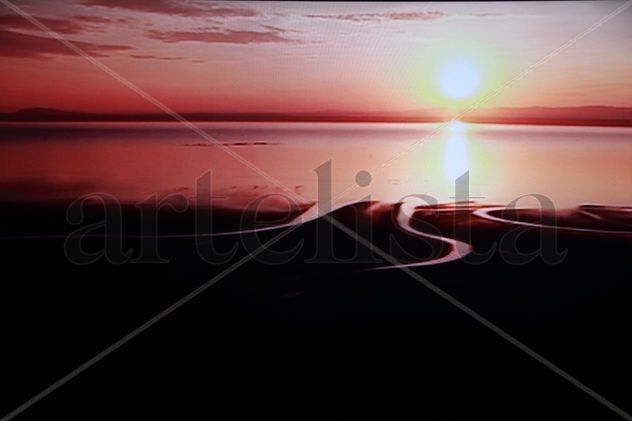 Flamenco en brazos de ocaso.