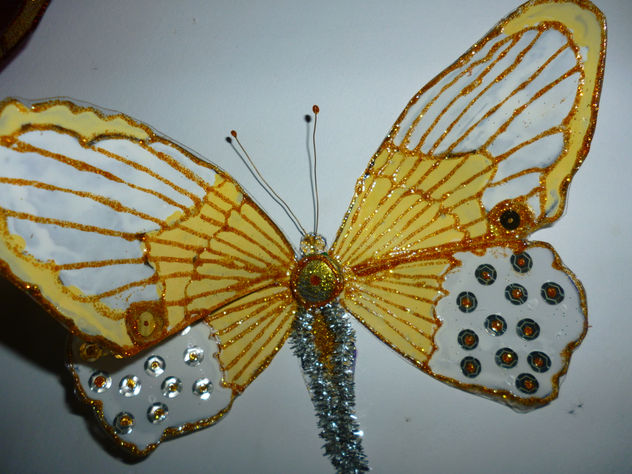 mariposas
